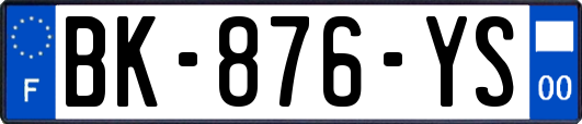 BK-876-YS