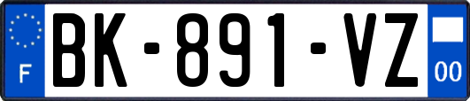 BK-891-VZ