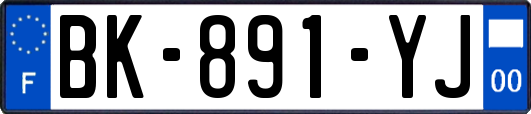 BK-891-YJ