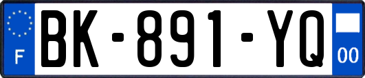 BK-891-YQ