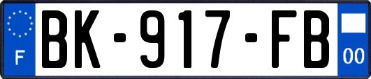 BK-917-FB