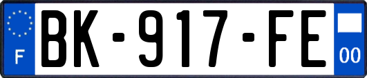 BK-917-FE