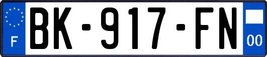 BK-917-FN