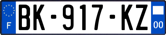 BK-917-KZ