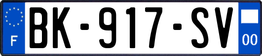 BK-917-SV