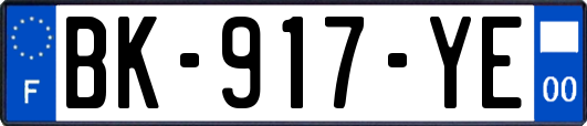 BK-917-YE