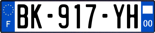 BK-917-YH