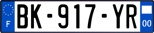 BK-917-YR