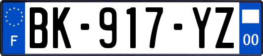 BK-917-YZ