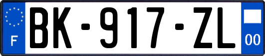 BK-917-ZL