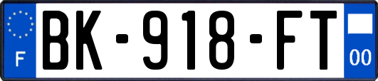 BK-918-FT