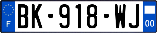 BK-918-WJ