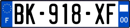 BK-918-XF