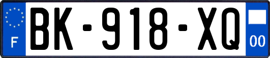 BK-918-XQ