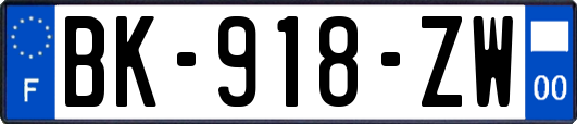 BK-918-ZW