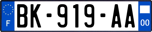 BK-919-AA