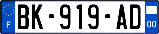 BK-919-AD