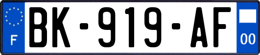 BK-919-AF