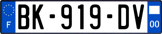 BK-919-DV