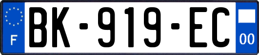 BK-919-EC