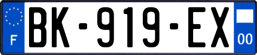 BK-919-EX