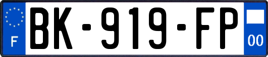 BK-919-FP