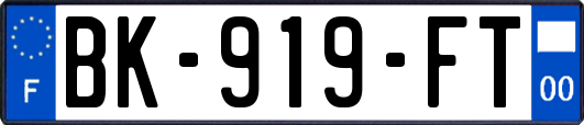 BK-919-FT