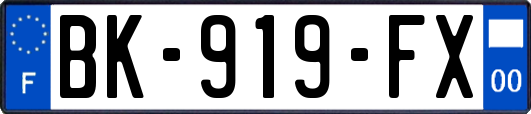 BK-919-FX