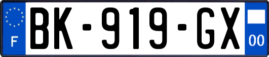 BK-919-GX