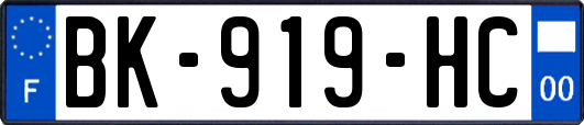 BK-919-HC