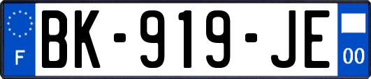 BK-919-JE