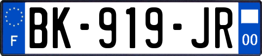 BK-919-JR