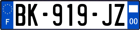 BK-919-JZ