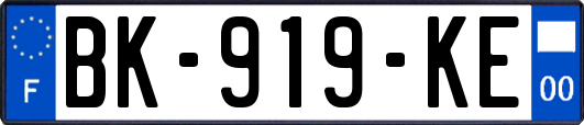 BK-919-KE