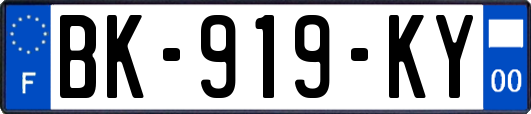 BK-919-KY