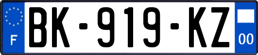 BK-919-KZ