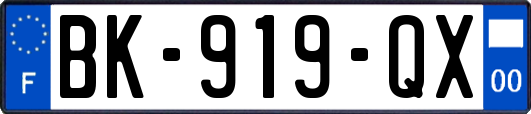 BK-919-QX