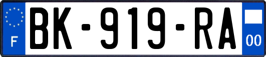 BK-919-RA