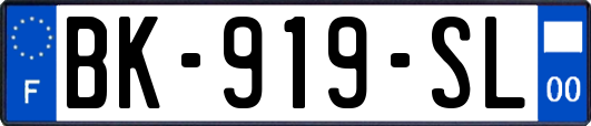 BK-919-SL