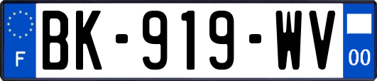 BK-919-WV