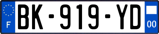 BK-919-YD