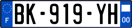 BK-919-YH
