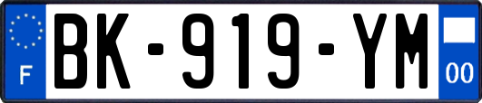 BK-919-YM