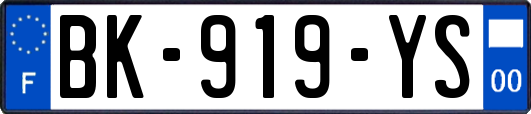 BK-919-YS