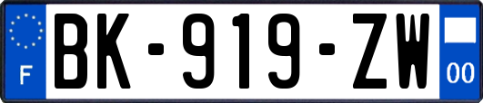 BK-919-ZW