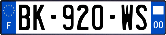 BK-920-WS