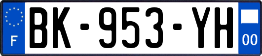 BK-953-YH