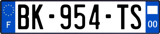 BK-954-TS