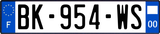 BK-954-WS