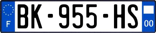 BK-955-HS